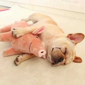 Plush Pig Pet Dog Toy