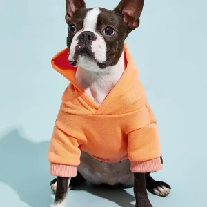 Orange Hooded Pet Sweatshirt