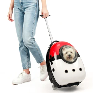 2 in 1 Cat Carrier Backpack Suitcase