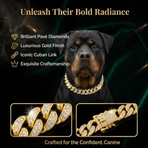 Luxury Hip Hop Dog Collar