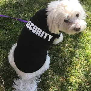 Security Clothing for Dogs Summer Pet Clothes