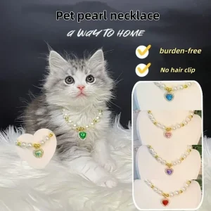 Sa82439e321664448b17c8b89e0a2d198v.webp