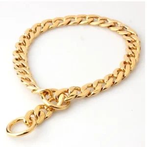 Luxury Dog Collar Gold Dog Chain Choker