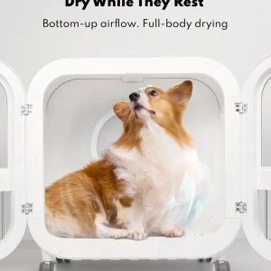 135L Ultra-Quiet Pet Dryer Box, Smart Temp Control, 360° Hands-Free
