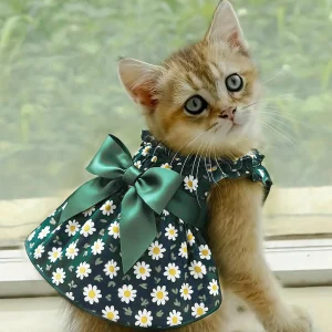 Fashion Cat, Dog Dress Sleeveless Cyan Flower. Slim Style