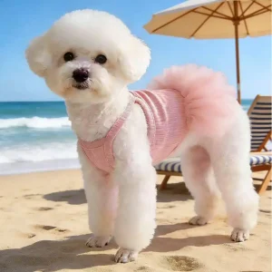 1pc Elegant Ballet Tulle Dress, Pet Dog Clothes,
