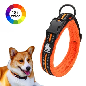 Dog Walking Collar, Comfort Padded with Buckle