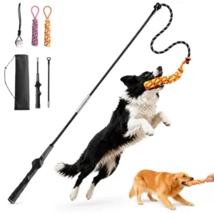 Flirt Pole for Dogs, Interactive Dog Toy