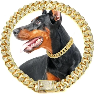 Dog Chain Collar, Luxury Gold Metal Chain Collar