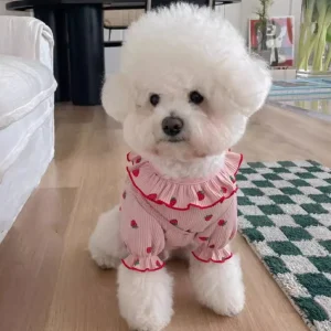 Cute Dog Clothing for Small Dog, Strawberry Dog Vest